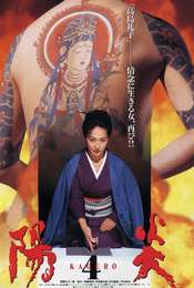 Kagerô 4