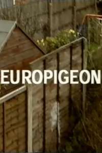 Europigeon - Poster