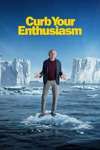 Curb Your Enthusiasm - Posters