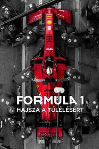 Formula 1: Drive to Survive - Posters