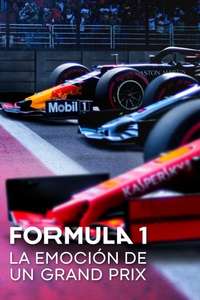 Formula 1: Drive to Survive - Posters