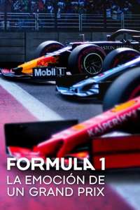 Formula 1: Drive to Survive - Posters