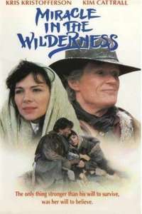 Miracle in the Wilderness - Poster