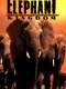 Africa's Elephant Kingdom