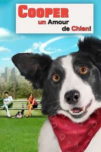 Angel Dog - Poster