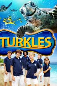 Turkles - Poster