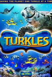 Turkles