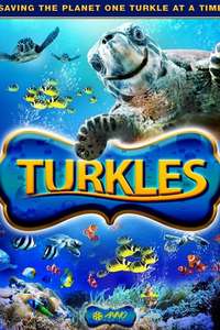 Turkles - Poster