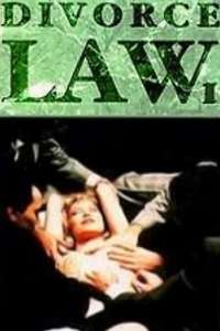 Divorce Law - Poster