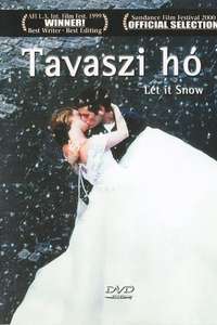 Snow days - Poster