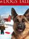 A Dog's Tale