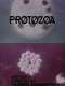 Protozoa