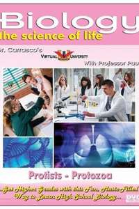 Protozoa - Poster