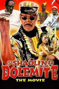 Shaolin Dolemite - Poster