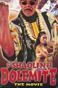 Shaolin Dolemite - Poster