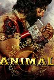 Animal