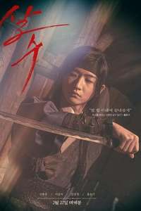 The Assassin - Posters