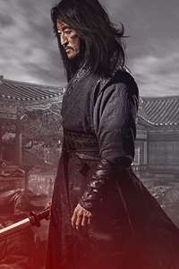 The Assassin - Posters