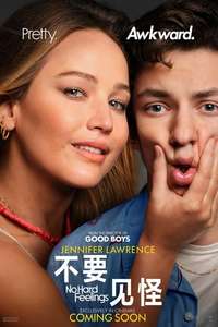 No Hard Feelings - Poster