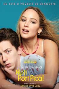 No Hard Feelings - Poster