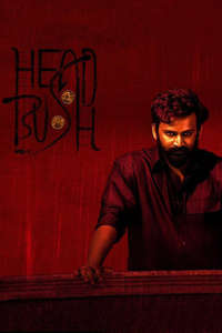 Head Bush - Poster