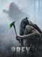 Prey
