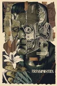 Frankenstein - Poster