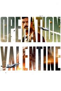Operation Valentine - Posters