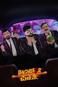 Bachelor Party - Poster