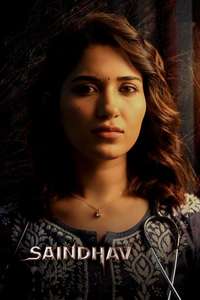 Saindhav - Posters