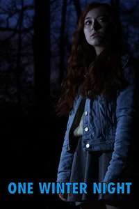 One Winter Night - Poster