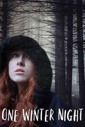 One Winter Night