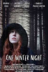 One Winter Night - Poster