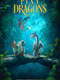 Pixy Dragons