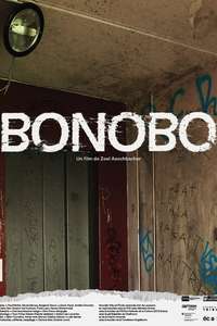Bonobo - Poster