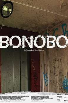 Bonobo