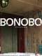 Bonobo