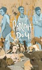 Pariah Dog