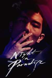 Night in Paradise - Poster