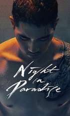 Night in Paradise