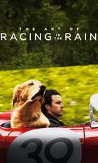 The Art of Racing in the Rain