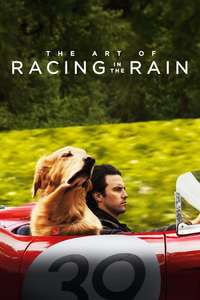 The Art of Racing in the Rain - Posters
