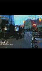 Bokul
