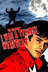 I Was a Teenage Werebear - Poster