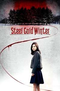 Steel Cold Winter - Poster