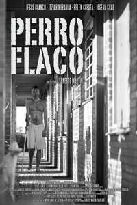 Perro flaco - Poster
