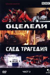 Surviving Disaster - Poster