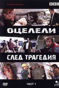 Surviving Disaster - Poster