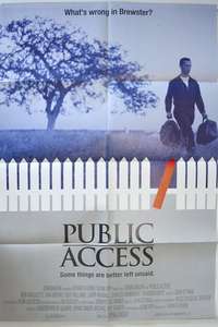 Public Access - Poster