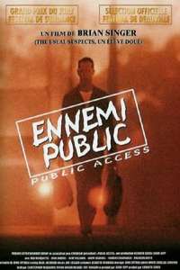 Public Access - Poster